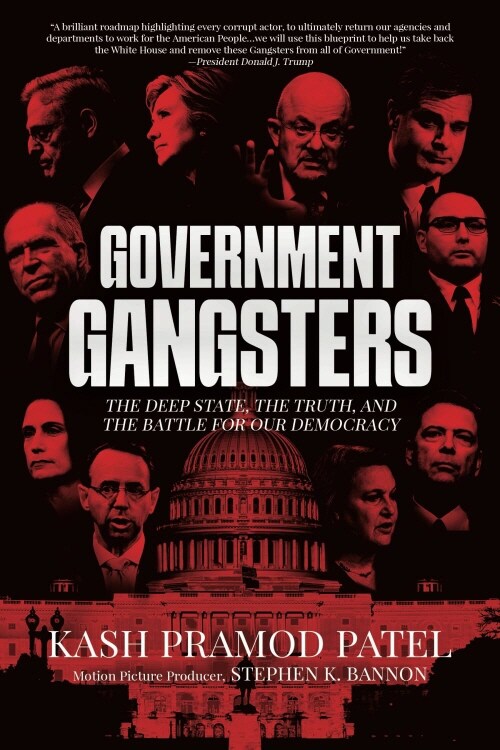 Government Gangsters: The Deep State, the Truth, and the Battle for Our Democracy (Paperback)