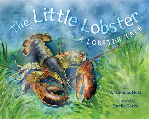 The Little Lobster (Hardcover)