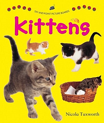 Say and Point Picture Boards: Kittens (Board Book)