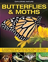 Exploring Nature: Butterflies & Moths (Hardcover)