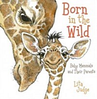 Born in the Wild: Baby Mammals and Their Parents (Hardcover)