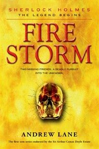 Fire Storm (Paperback)