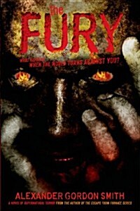 Fury (Paperback)