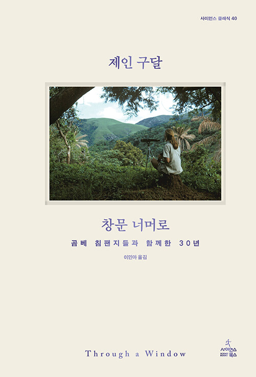 창문 너머로