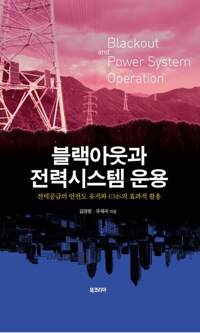 블랙아웃과 전력시스템 운용 커버