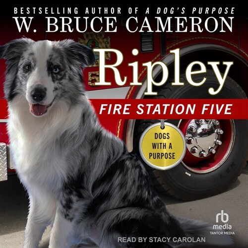 Ripley: Fire Station Five (MP3 CD)