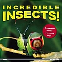 Incredible Insects! (Hardcover)