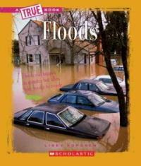 Floods (Paperback)