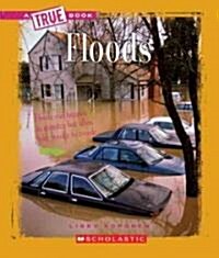 Floods (a True Book: Earth Science) (Paperback)