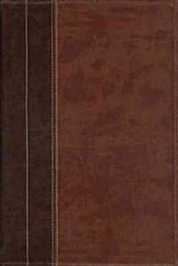 Archaeological Study Bible (Paperback, LEA)