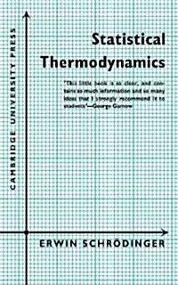 Statistical Thermodynamics : A Course of Seminar Lectures (Paperback)