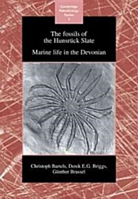 The Fossils of the Hunsruck Slate : Marine Life in the Devonian (Paperback)