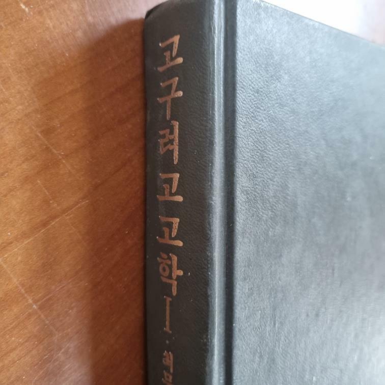 [중고] 고구려 고고학 1
