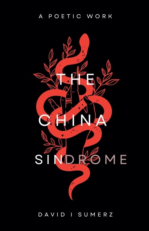 The China Sindrome (Paperback)