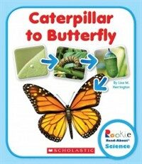 Caterpillar to Butterfly (Library Binding)