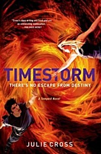 Timestorm (Hardcover)