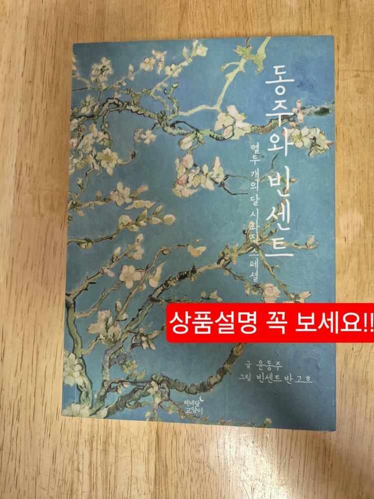 [중고] 동주와 빈센트 (반양장)