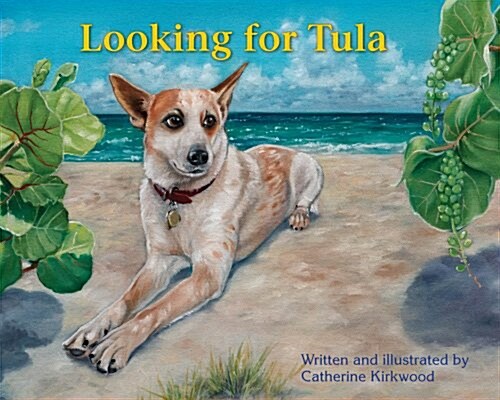 Looking for Tula (Hardcover)