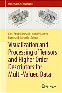 Visualization and Processing of Tensors and Higher Order Descriptors for Multi-Valued Data (Hardcover)