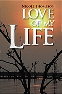 Love of My Life (Paperback)