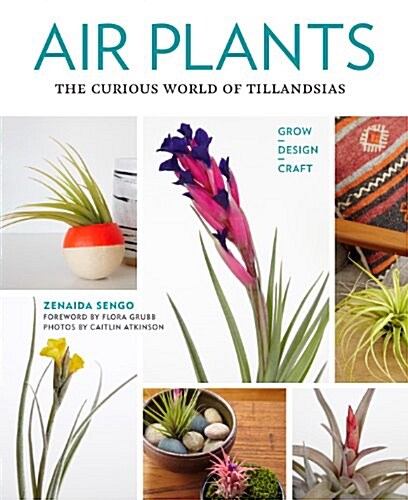 Air Plants: The Curious World of Tillandsias (Paperback)