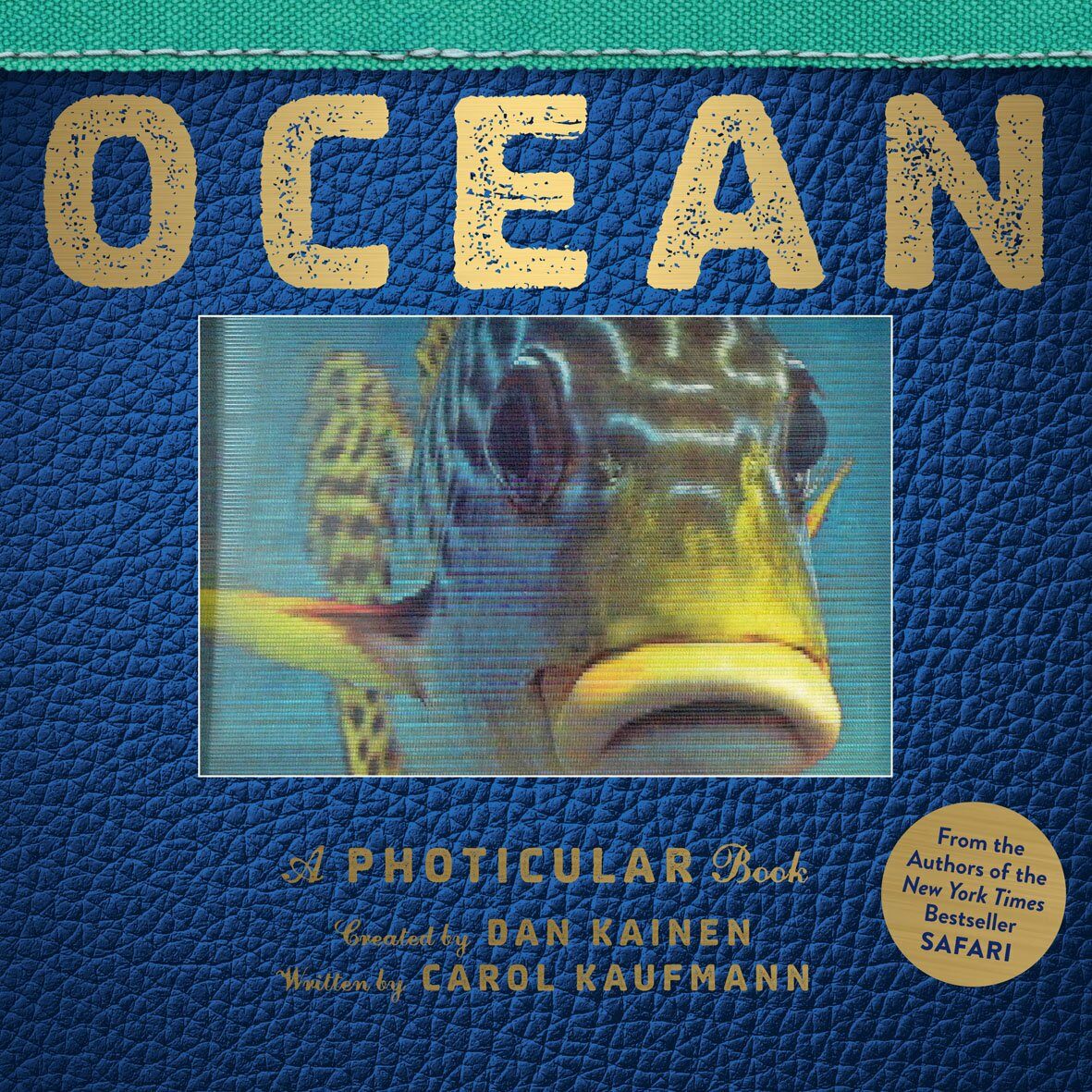 Ocean: A Photicular Book (Hardcover)