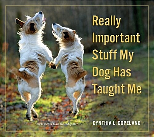 Really Important Stuff My Dog Has Taught Me (Paperback)