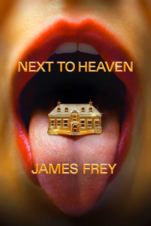 Next to Heaven (Hardcover)