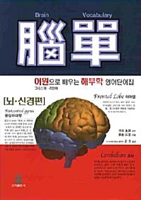 뇌단 : 뇌.신경편