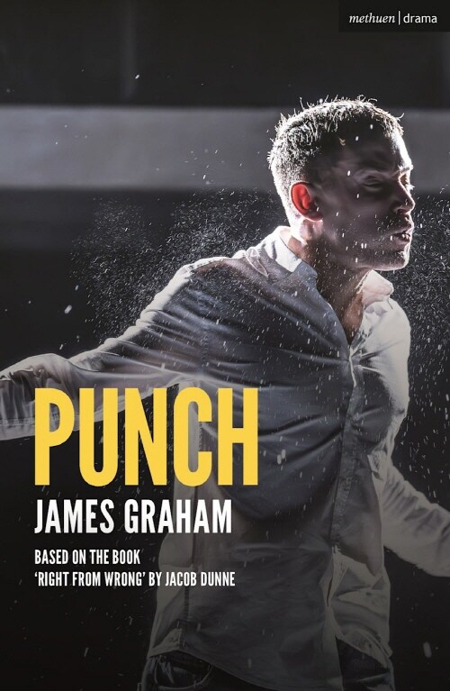 Punch (Paperback)