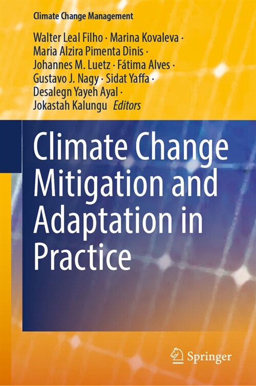 Climate Change Mitigation and Adaptation in Practice (Hardcover)