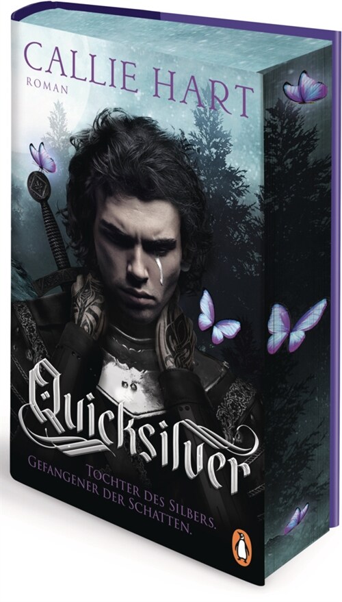 Quicksilver - Tochter des Silbers. Gefangener der Schatten (Hardcover)