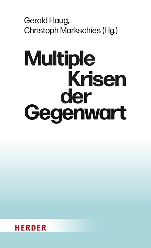 Multiple Krisen der Gegenwart (Hardcover)