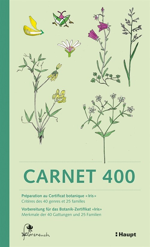 Carnet 400 (Paperback)