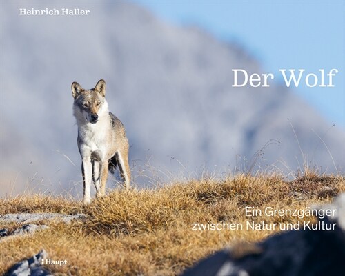 Der Wolf (Hardcover)