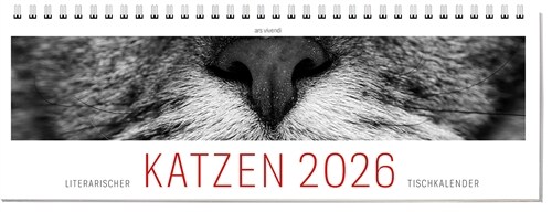 Tischkalender Katzen 2026 (Calendar)