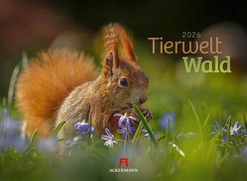 Tierwelt Wald Kalender 2026 (Calendar)