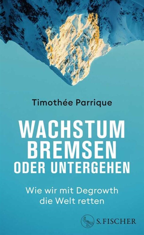 Wachstum bremsen oder untergehen (Hardcover)