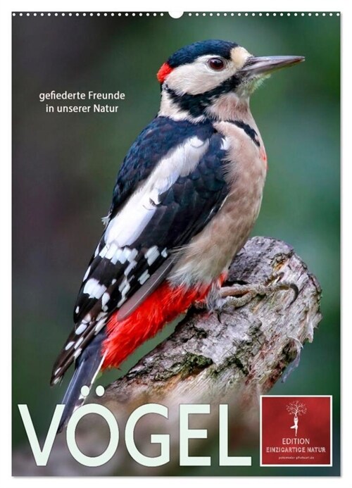 Vogel - gefiederte Freunde in unserer Natur (Wandkalender 2025 DIN A2 hoch), CALVENDO Monatskalender (Calendar)