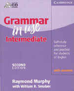 Grammar in use intermediate with answers