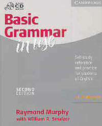 Basic grammar in use with answers