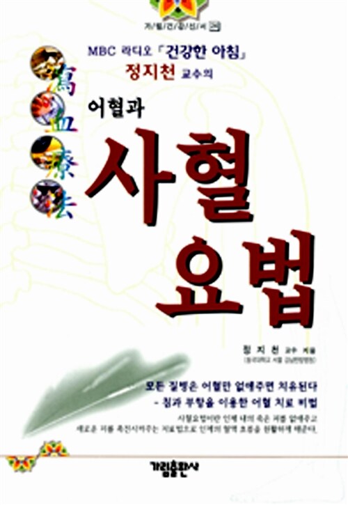 [중고] 정지천교수의 어혈과 사혈요법