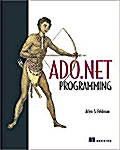 ADO.NET Programming (Paperback)