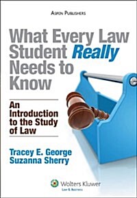 What Every Law Student Really Needs to Know: An Introduction to the Study of Law (Paperback)