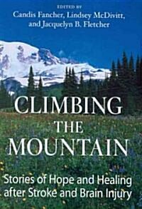Climbing the Mountain (Paperback, 1st)