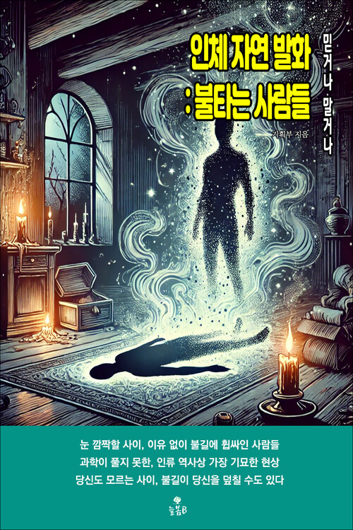 인체 자연 발화 : 불타는 사람들 커버