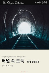 터널 속 도둑 : 조니 루들로우 커버