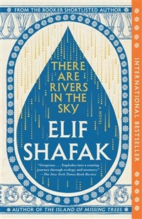 There Are Rivers in the Sky (Paperback)