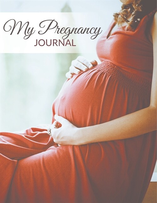 My Pregnancy Journal (Paperback)