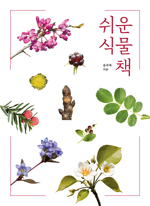 쉬운 식물책